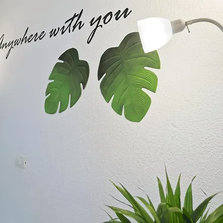 Apartmán Costa Haven